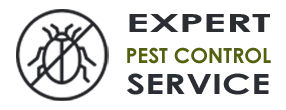 Pest Control Exterminator Puyallup WA